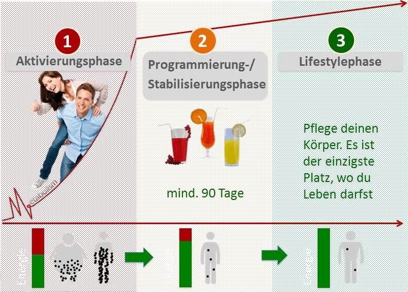 cellRESET Phasen der 28-Tage-Kur